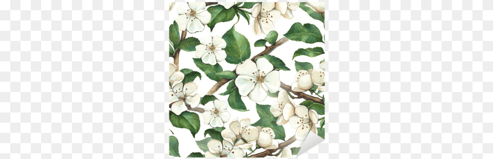 Pattern With Watercolor Apple Flowers Sticker Pixers Iphone 6 Plus Case Deco Fairy Protective Case Bumperscratch Resistant, Art, Flower, Painting, Plant Png Image