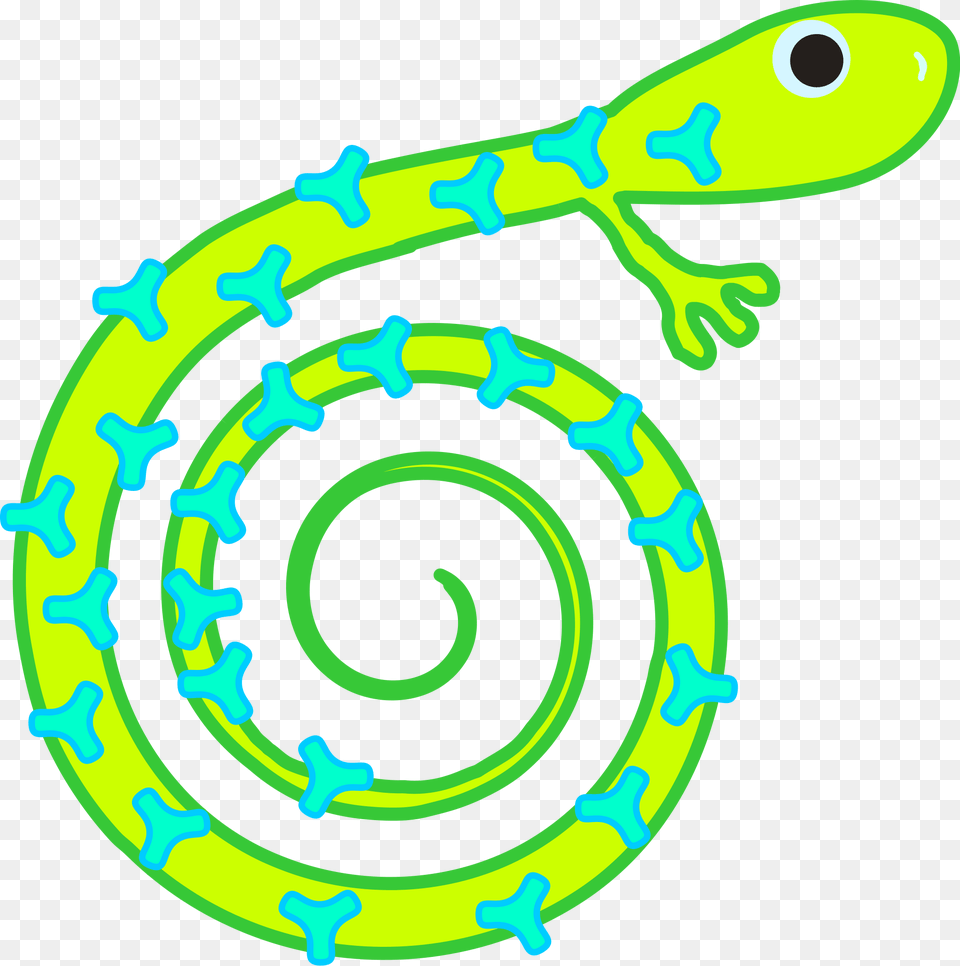 Patterned Reptile, Animal, Gecko, Lizard Png Image