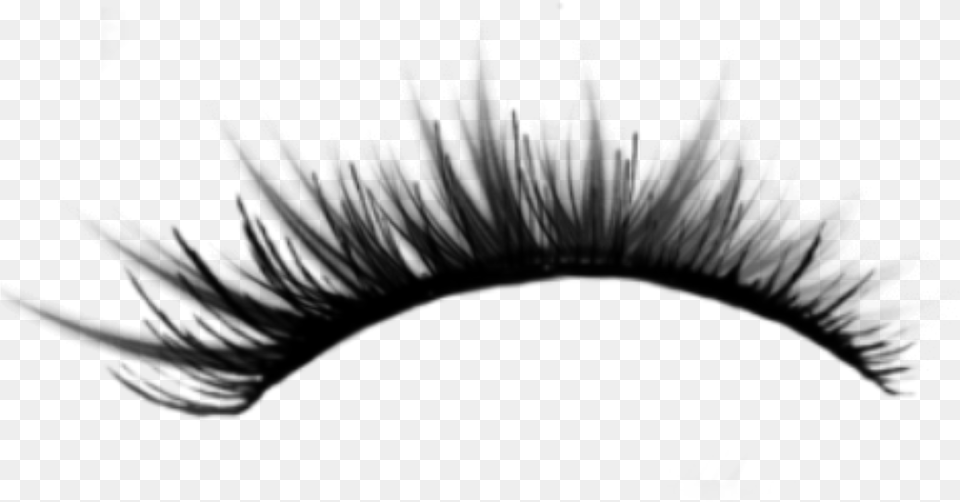 Patty Ciliosdeboneca Ciliosgrande Eyelashes Eyelash Extensions, Gray Png Image