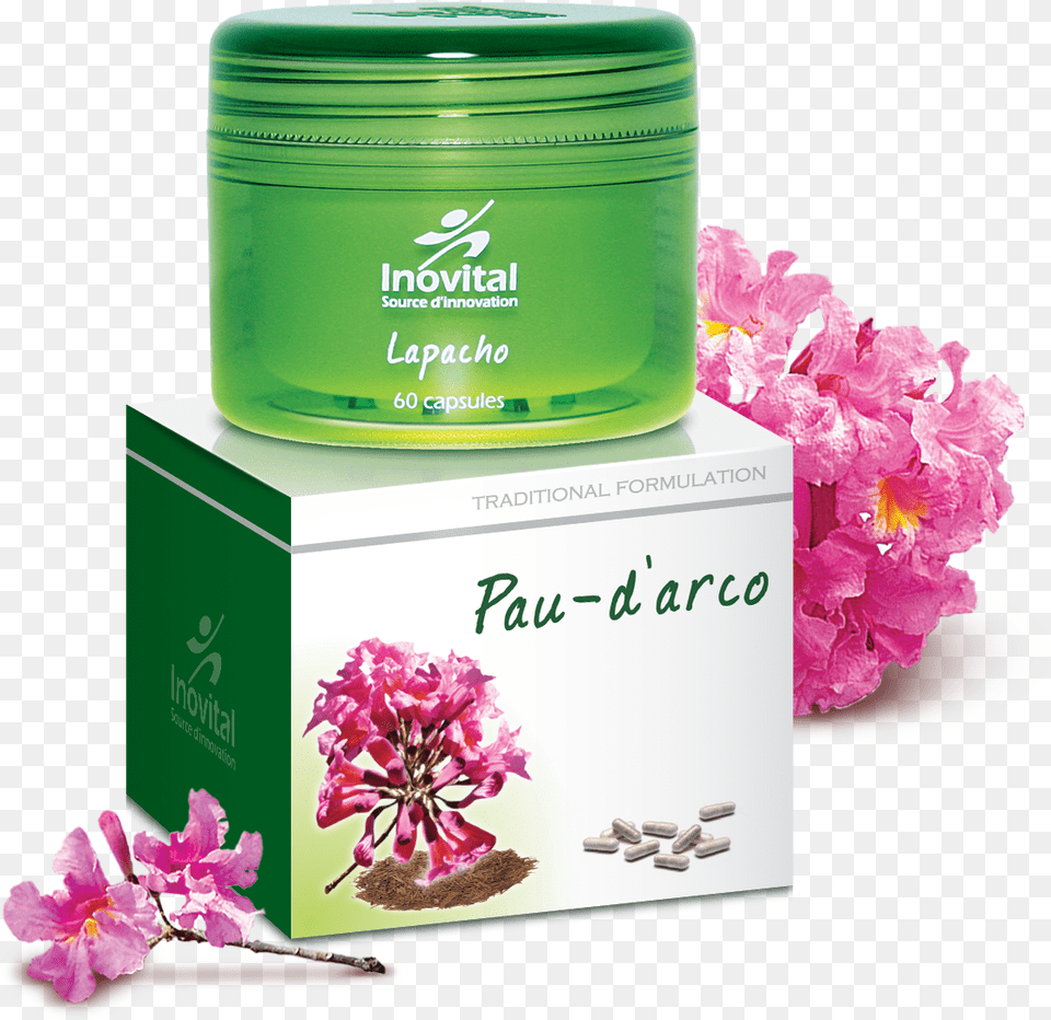 Pau Cherry Blossom, Flower, Herbal, Herbs, Petal Png Image