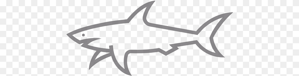 Paul And Shark Logo, Bow, Weapon, Animal, Fish Png