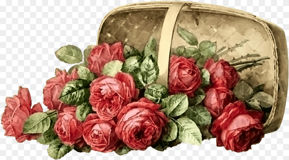 Paul De Longpre Rose And Bumblebee, Flower, Flower Arrangement, Flower Bouquet, Plant Png Image