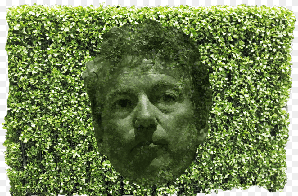 Paul Hedge Hedge, Fence, Plant, Face, Head Free Transparent Png