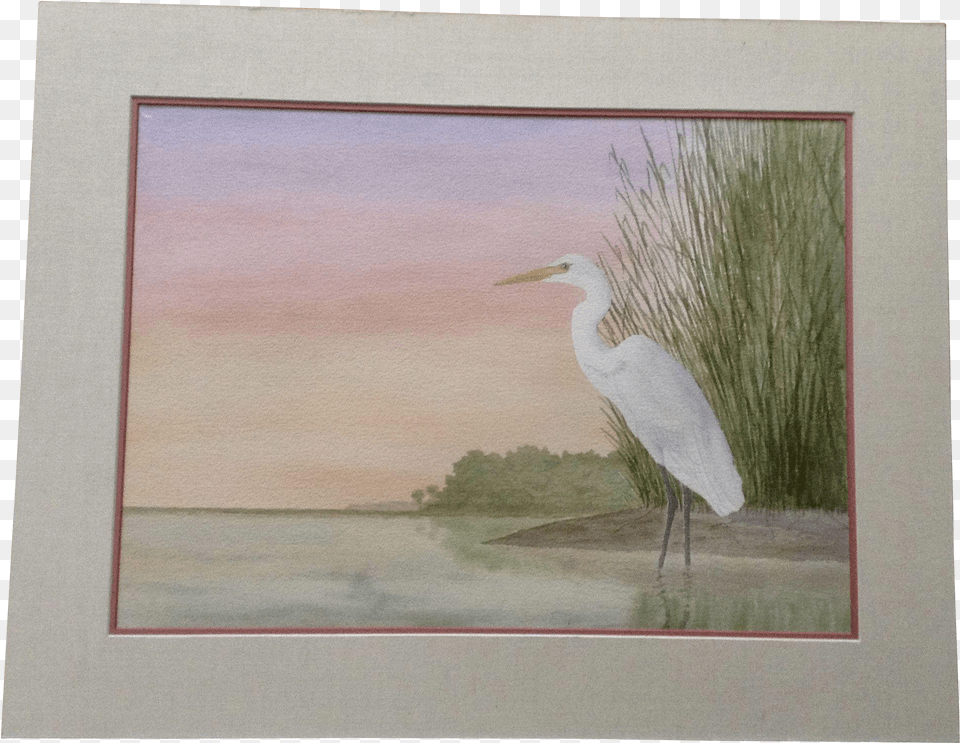 Paul Patterson White Crane Bird At Edge Of Swamp Watercolor, Animal, Waterfowl, Art, Painting Png Image