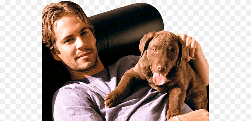 Paul Walker 1973 2013 R Chris Hemsworth And Puppy, Adult, Male, Man, Person Free Png Download