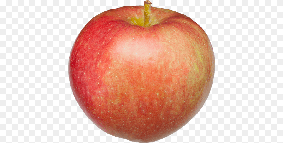 Paula Red, Apple, Food, Fruit, Plant Png Image