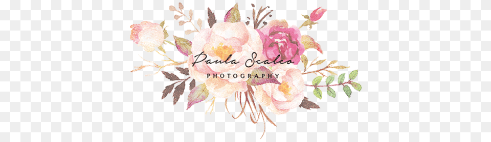 Paula Scalco Photography Burgundy Watercolor Flowers, Art, Floral Design, Graphics, Pattern Free Png