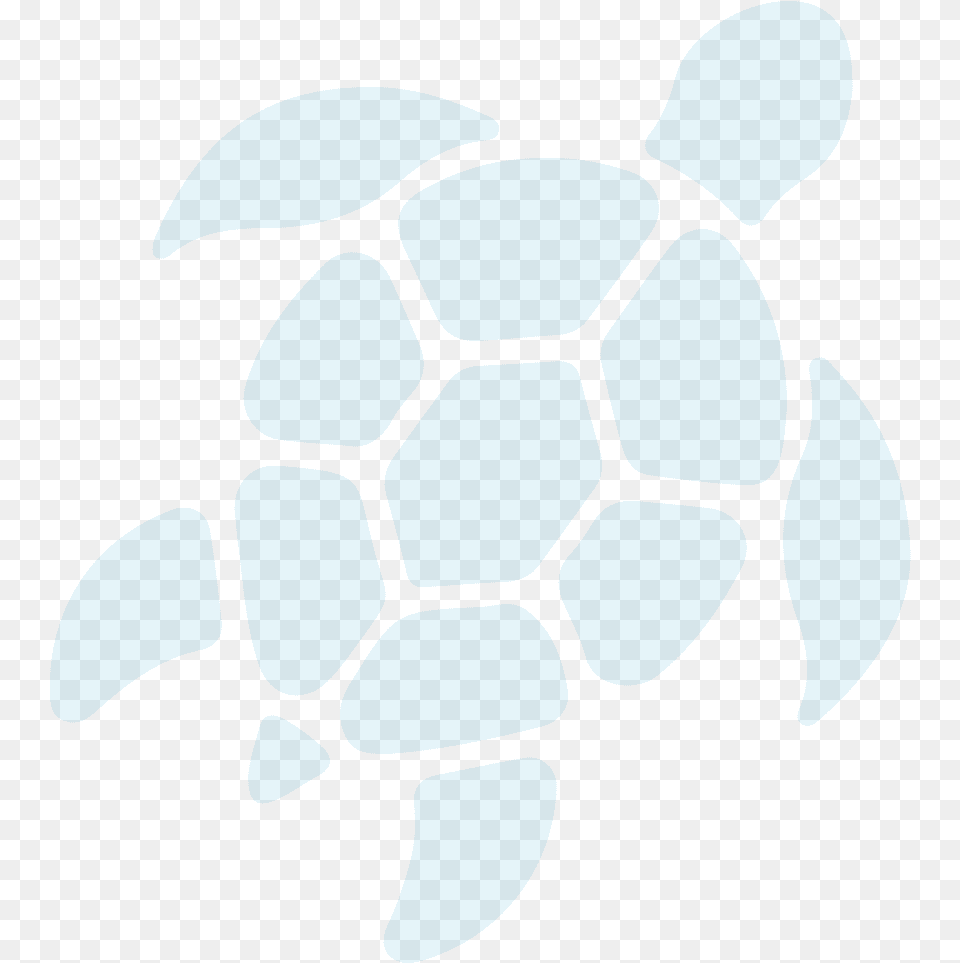 Paw, Animal, Reptile, Sea Life, Tortoise Free Png Download