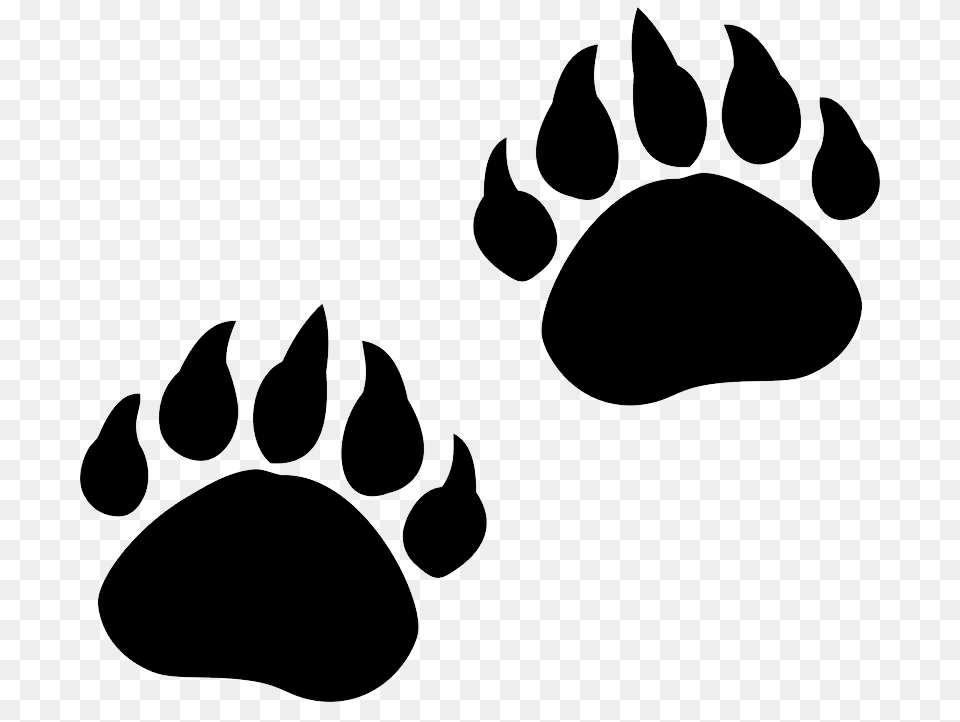 Paw, Electronics, Hardware, Footprint, Stencil Png