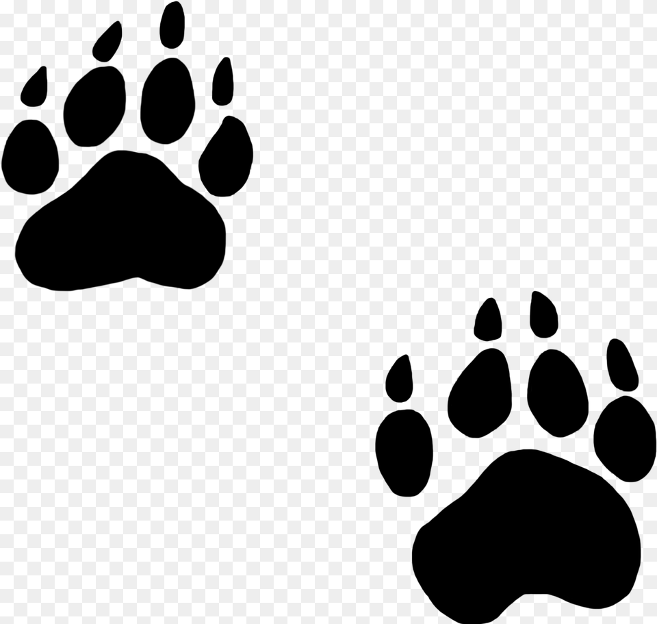 Paw, Nature, Night, Outdoors, Lighting Png