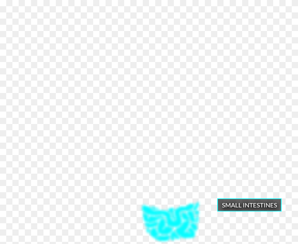 Paw, Body Part, Mouth, Person Free Transparent Png