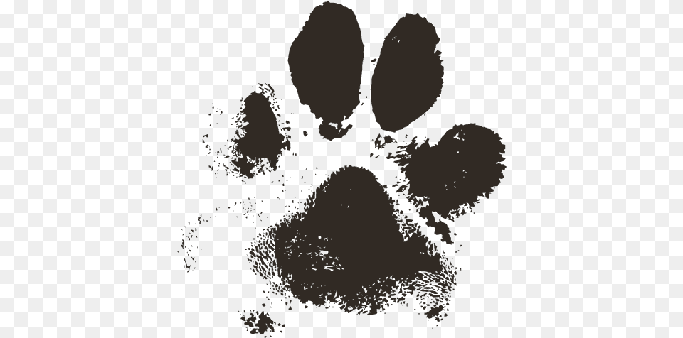 Paw, Person, Ct Scan, Face, Head Png