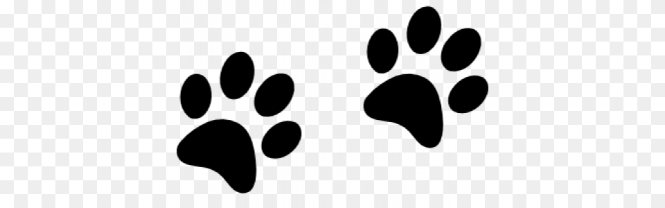 Paw, Gray Png Image