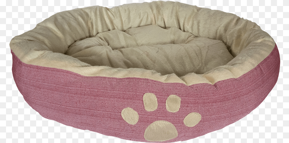 Paw, Home Decor, Cushion, Furniture, Bed Png Image