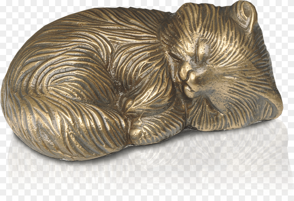 Paw, Bronze, Cushion, Home Decor, Treasure Png Image