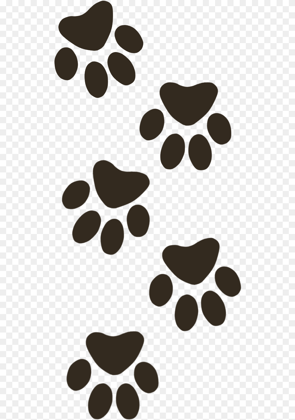 Paw Cat Paw Print, Pebble, Face, Head, Person Png Image