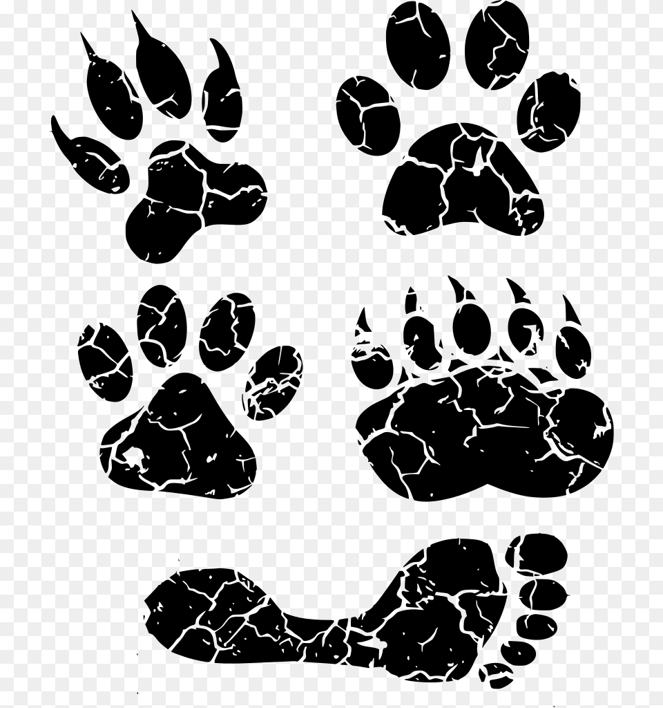 Paw Paw, Gray Free Transparent Png