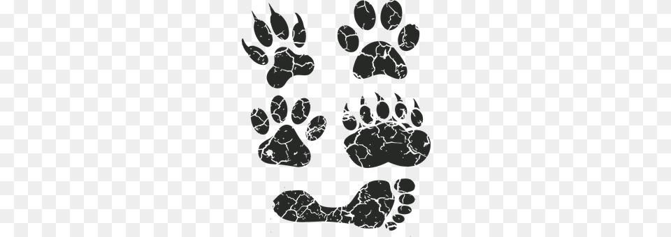 Paw Print Footprint, Person Free Transparent Png