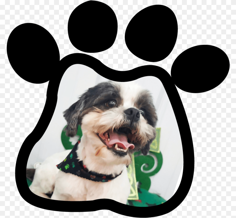 Paw Print Dog Catches Something, Animal, Canine, Mammal, Pet Free Transparent Png