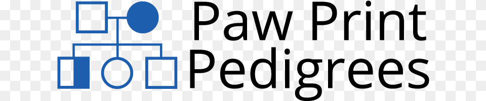 Paw Print Genetics, City, Text, Lighting Png