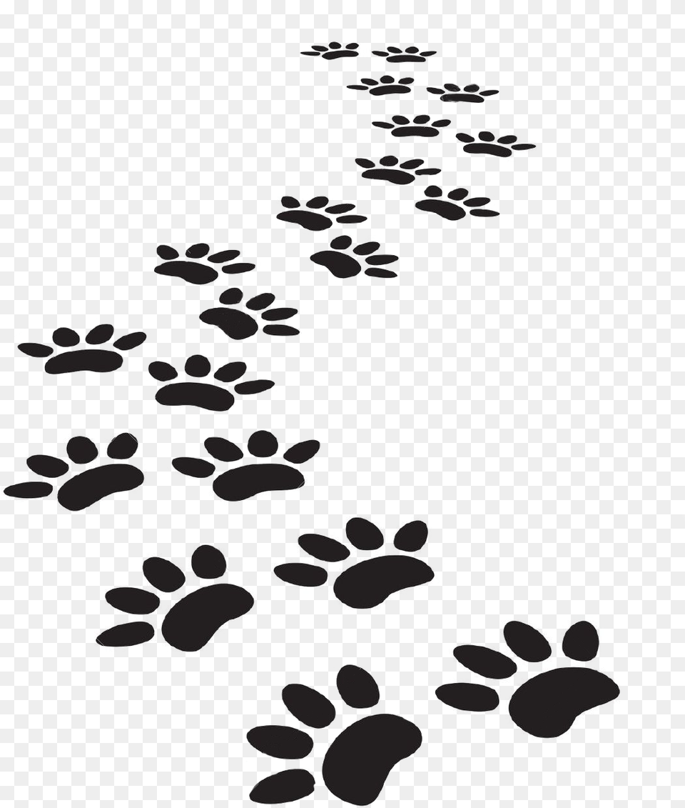 Paw Print Trail, Flower, Petal, Plant Free Png