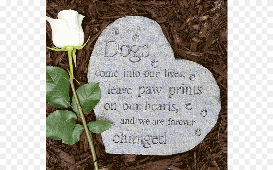 Paw Prints On Our Hearts Heart, Flower, Plant, Rose, Tomb Png Image