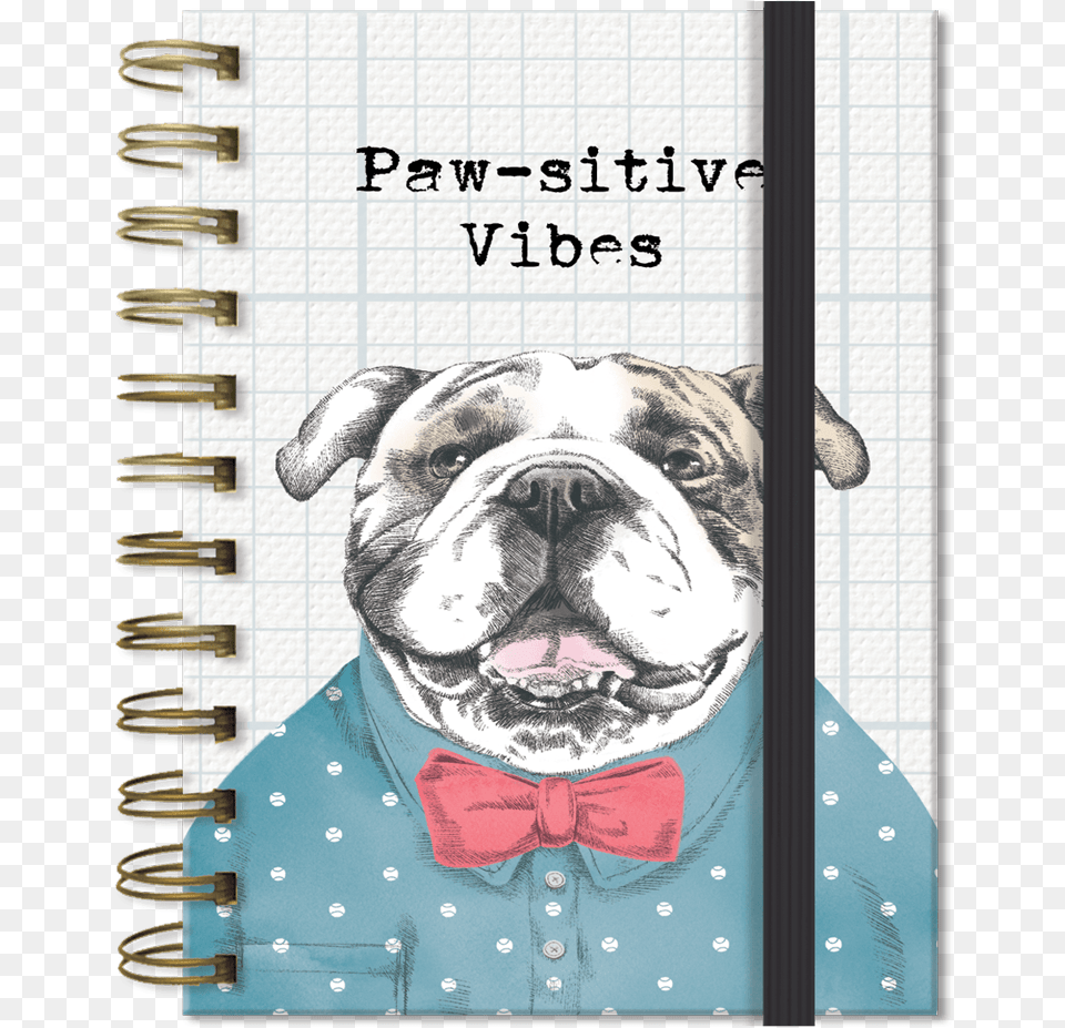 Paw Sitive Bulldog Pocket Notebook Olde English Bulldogge, Male, Man, Person, Book Free Png Download