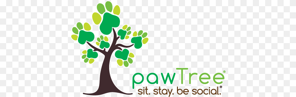 Paw Tree Direct Sales, Art, Graphics, Plant, Vegetation Png Image