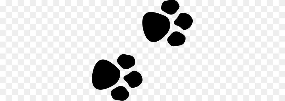 Paws Gray Free Png