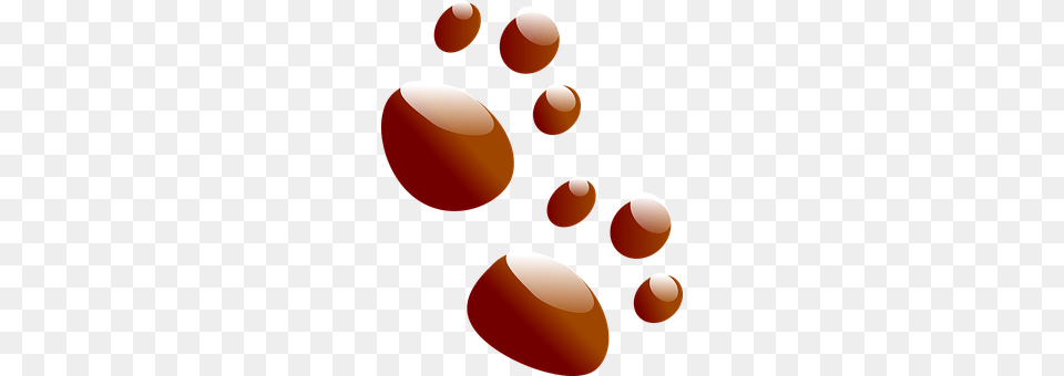 Paws Food, Nut, Plant, Produce Free Transparent Png