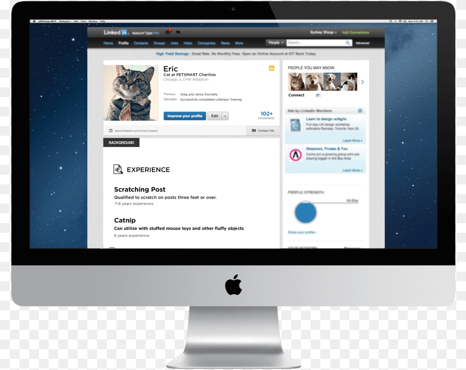 Paws Linkedin Suretrader Active Web, File, Monitor, Hardware, Webpage Free Transparent Png