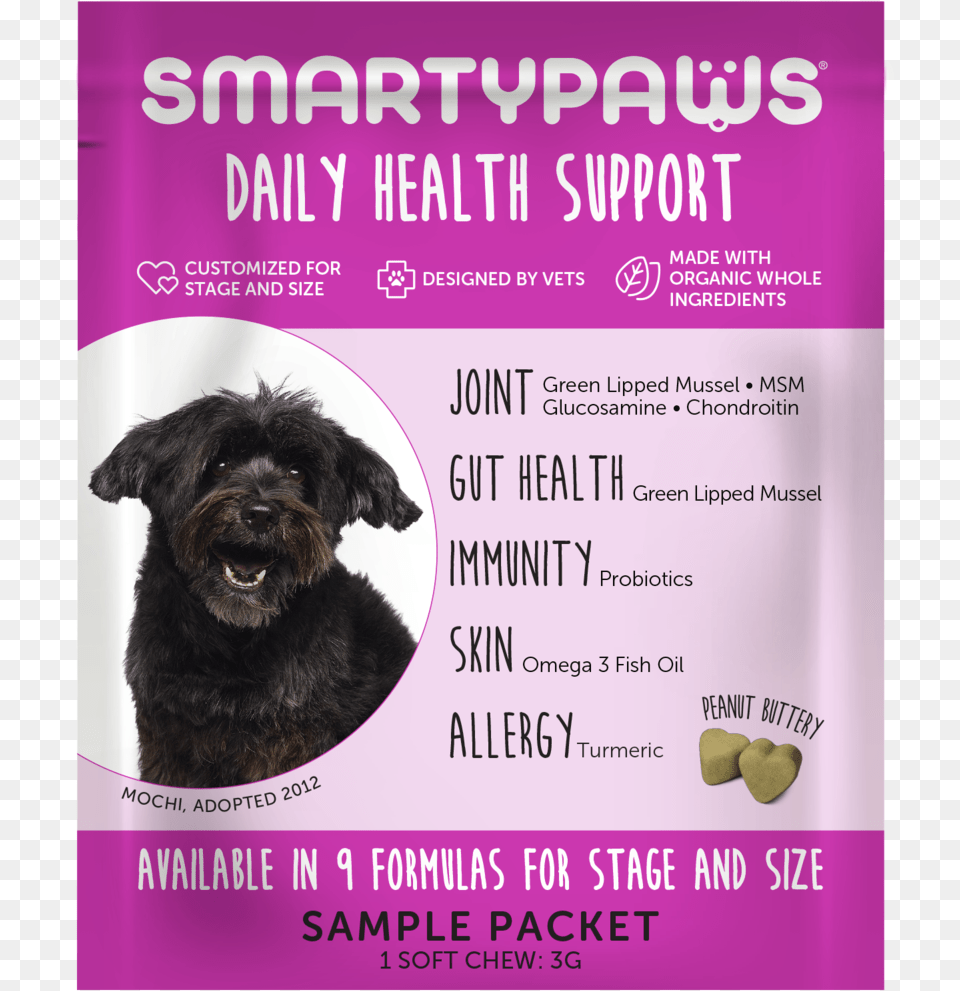 Paws Sample Companion Dog, Advertisement, Poster, Animal, Canine Png