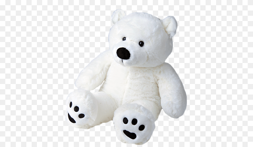 Paws The Polar Bear 16 Teddy Bear White, Teddy Bear, Toy Free Png Download