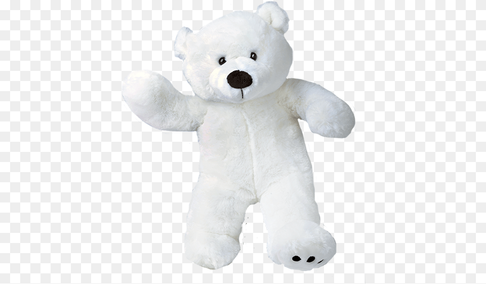 Paws The Polar Bear 16 White Teddy Bear, Teddy Bear, Toy, Plush Free Png