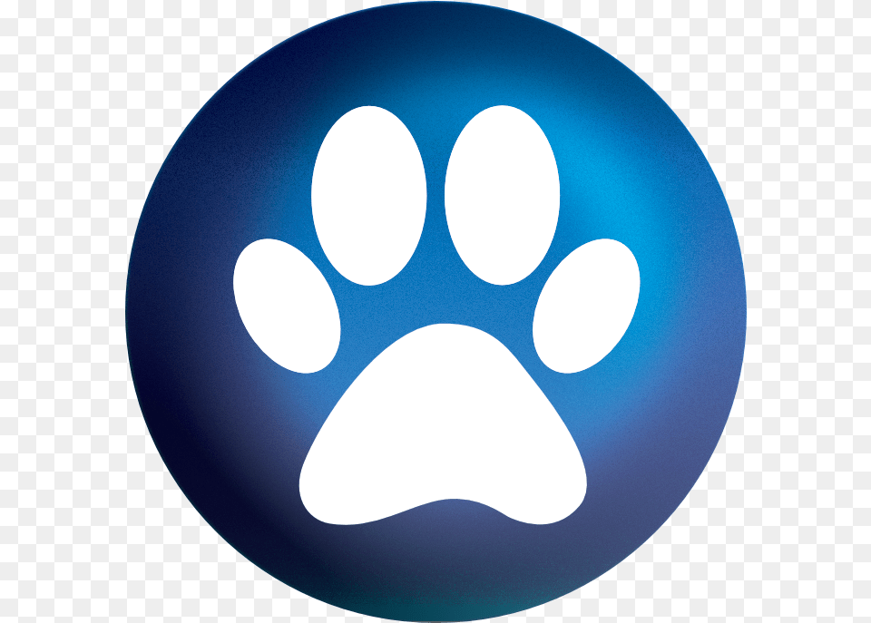 Paws Warriors Cats Wallpaper Phone, Sphere, Logo, Disk, Astronomy Png