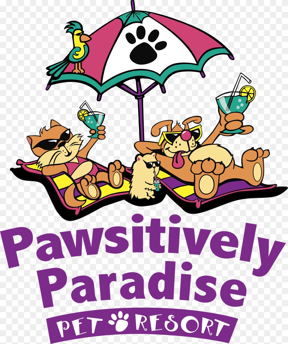 Pawsitively Paradise Pet Resort, Advertisement, Poster, People, Person Png Image