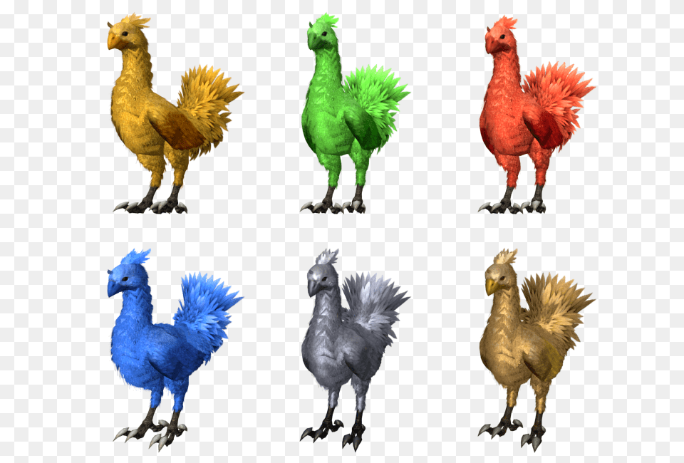 Pc Computer, Animal, Beak, Bird, Chicken Png
