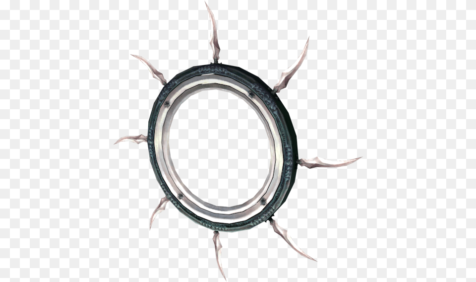 Pc Computer Circle, Window, Mirror, Animal, Insect Png