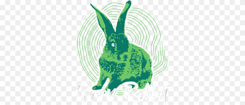 Pc Dive Club Logo Domestic Rabbit, Animal, Hare, Mammal, Rodent Png