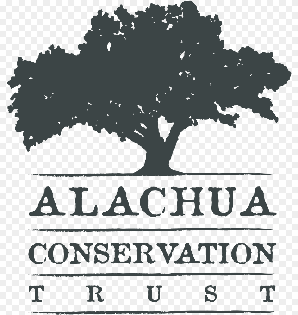Pccc Digging And Burial Volunteer Alachua County Conservation Trust, Advertisement, Oak, Plant, Sycamore Png