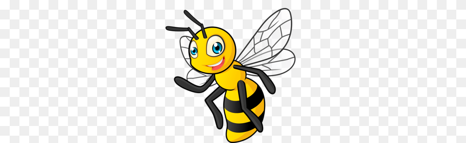 Pchely Osy Med Imagenes Varias, Animal, Bee, Honey Bee, Insect Png Image