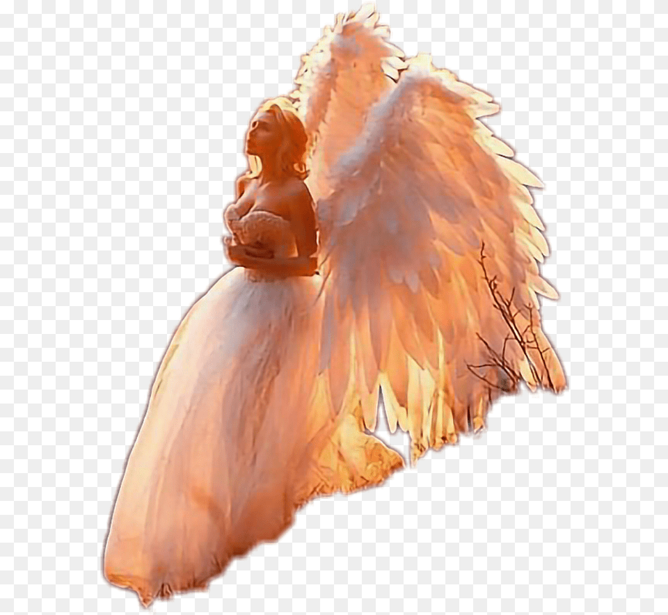 Pchugs, Angel, Adult, Bride, Female Png Image