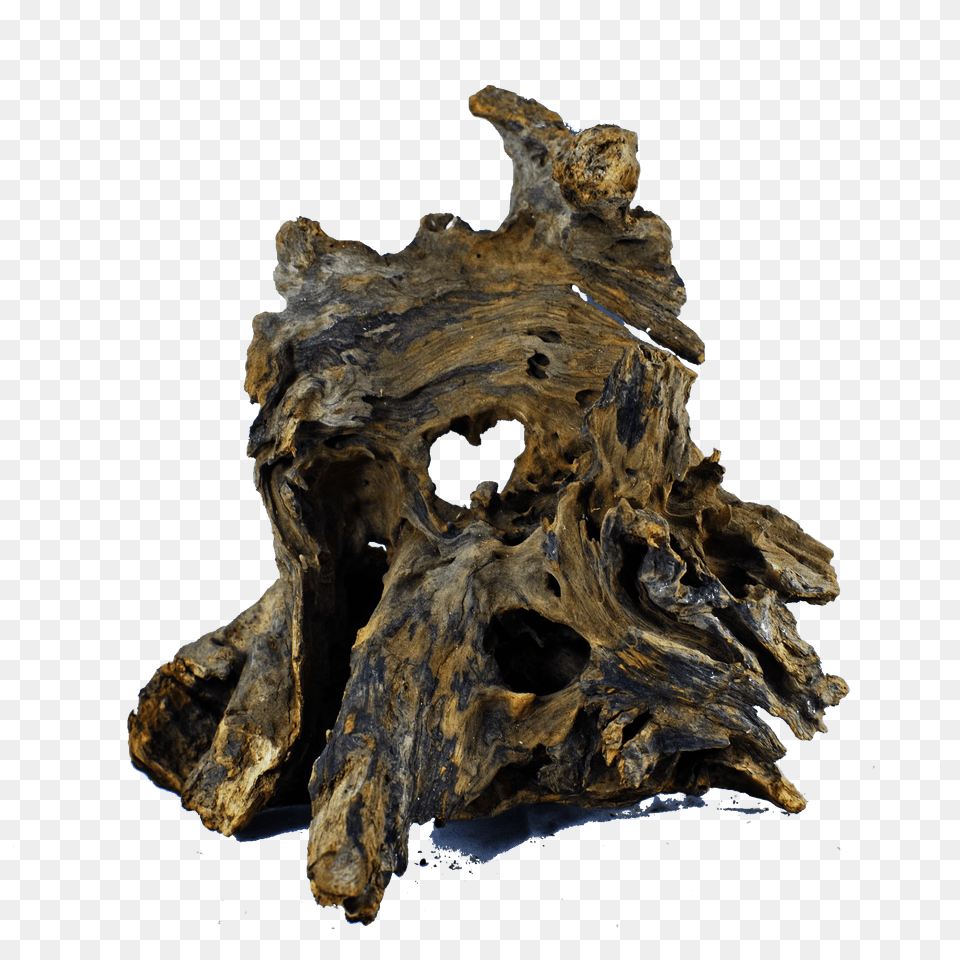 Pcs Of Xxlarge Aquarium Driftwood Bonsai Driftwood, Plant, Tree, Wood, Hole Png Image