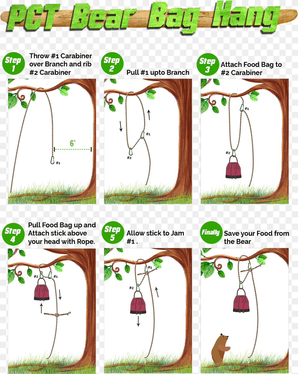 Pct Bear Hang Method With Steps Teacher Record Book Teachers Plant The Seeds For Teachers, Accessories, Bag, Handbag, Earring Free Png Download