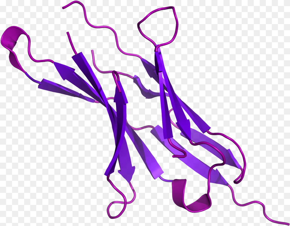 Pd 1 Protein, Purple, Paper, Light, Neon Free Png