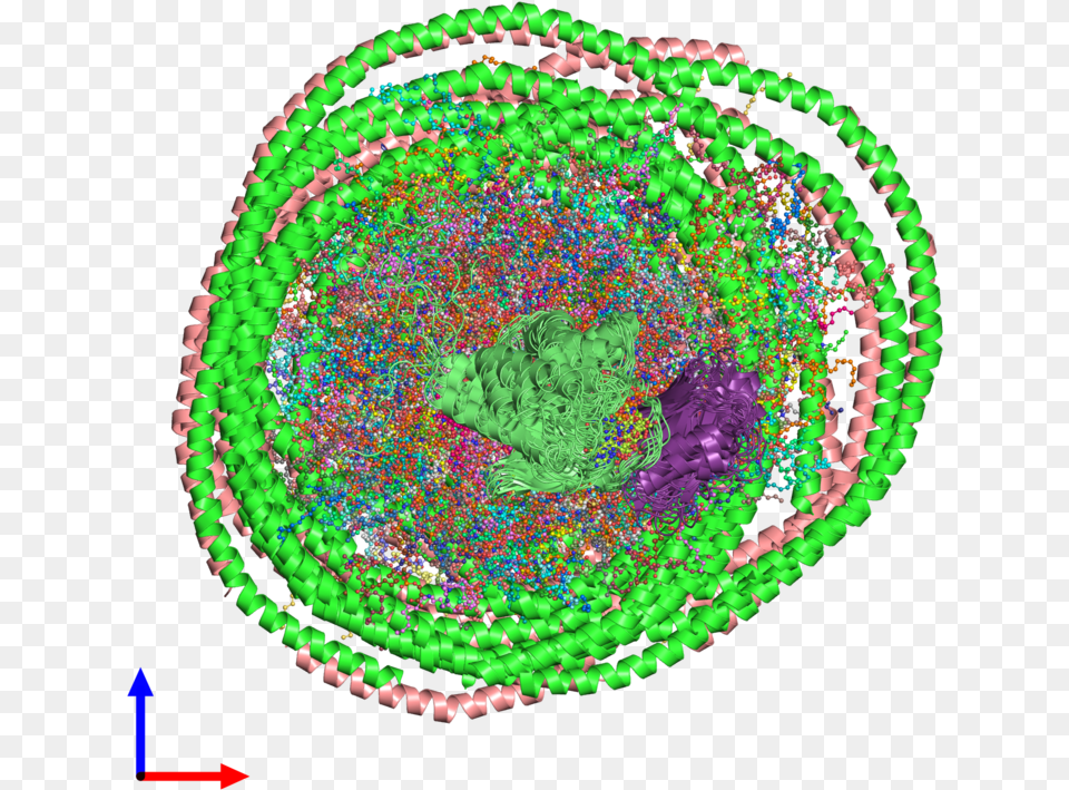 Pdb 2mse Coloured By Chain And Viewed From The Front Circle, Accessories, Bead, Jewelry, Necklace Free Transparent Png