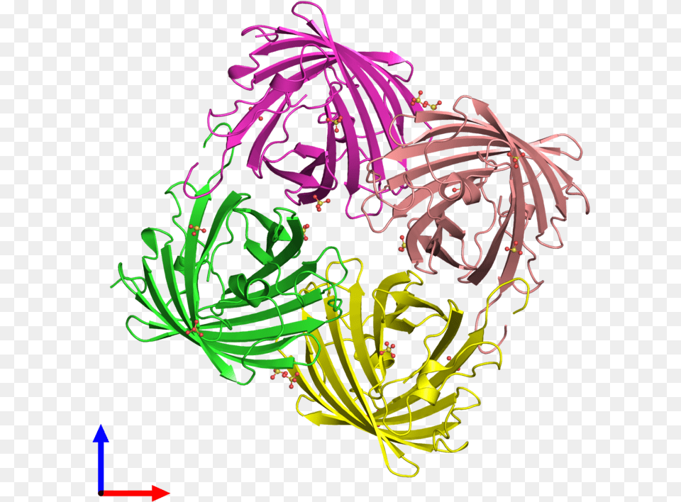 Pdb 2vvh Coloured By Chain And Viewed From The Front, Art, Graphics, Purple, Pattern Free Transparent Png