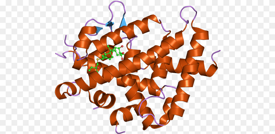 Pdb 2zla Ebi Recettore Della Vitamina D, Pattern, Accessories Png