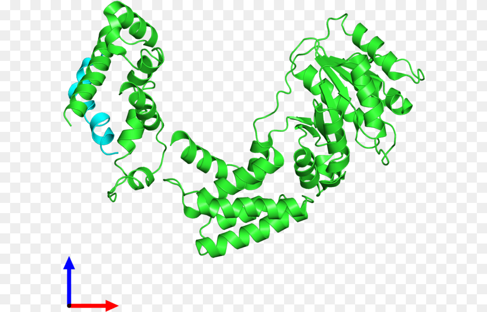 Pdb 3kl4 Coloured By Chain And Viewed From The Front, Green, Accessories, Art, Graphics Free Png