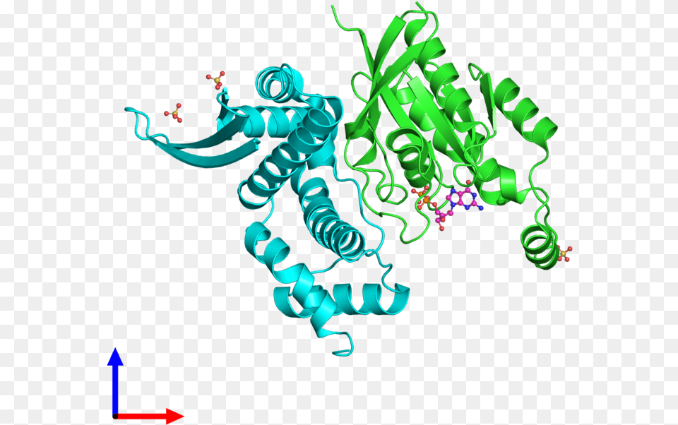 Pdb 3lxr Coloured By Chain And Viewed From The Front Illustration, Art, Graphics, Dynamite, Weapon Png Image